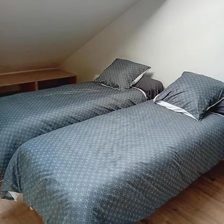 Apartment La Bienvenue Saint-Michel-sur-Meurthe
